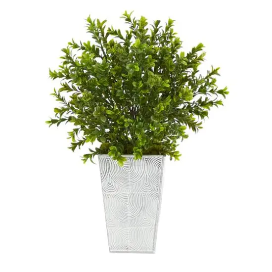19in. Boxwood Plant in Embossed White Planter {1}