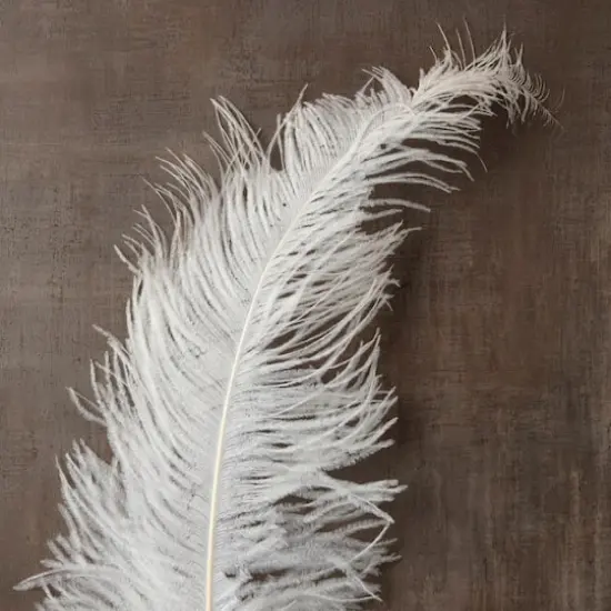 Ashland&reg; Feather, Ostrich, Ivory {3}