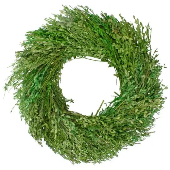 20" Green Foliage Artificial Spring Wreath {1}