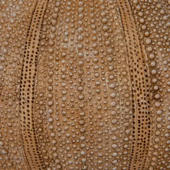 Hello Honey® 18.5" Beige Stacked Sea Urchin Table Lamp with Linen Shade, 2ct. {7}