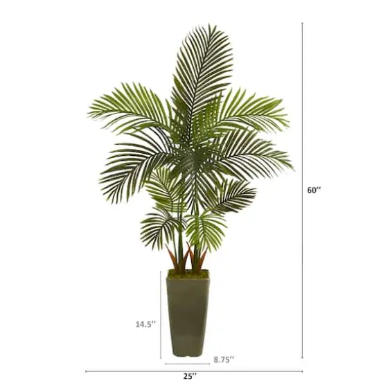 5ft. Areca Palm Tree in Green Planter  {3}