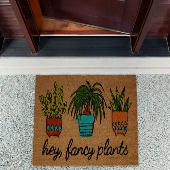 DII&reg; Hey There Fancy Plants Doormat {6}