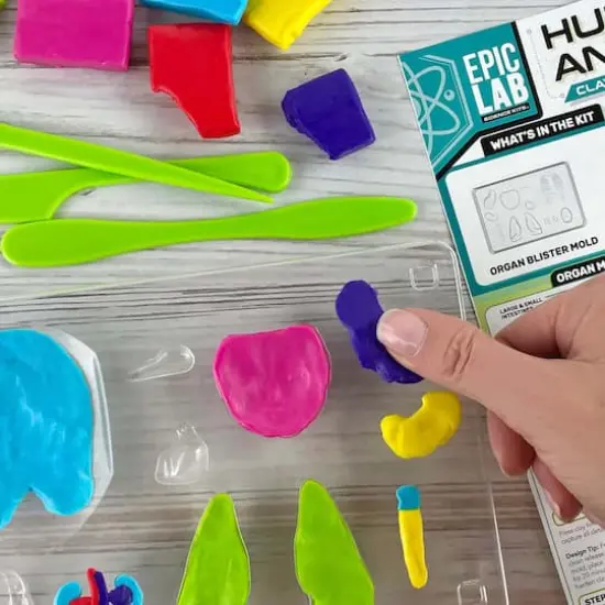 ArtSkills&reg; Epic Lab Human Anatomy STEM Kit {5}