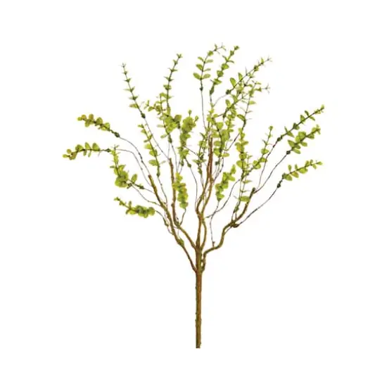 Mini Eucalyptus Bush {1}