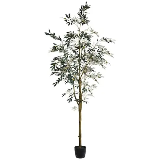 8ft. Potted Olive Tree {1}