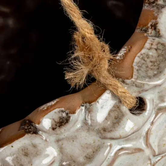 Hello Honey&reg; 7.5" Ivory Hanging Stoneware Seashell Planter with Rope {7}