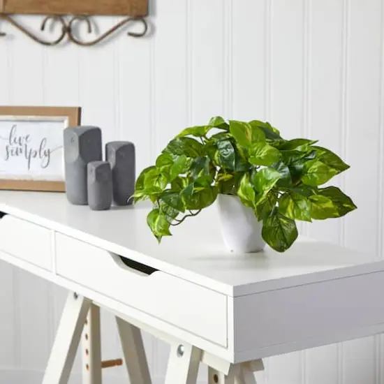 9" Variegated Pothos Plant in Decorative White Planter {4}