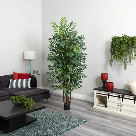 7ft. Potted Bamboo Palm Tree {4}
