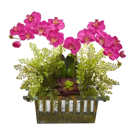 23" Pink Orchid & Succulent Arrangement in Wooden Planter {1}