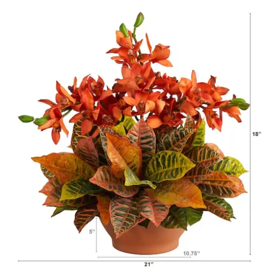 18" Boat Orchid & Croton Floral Arrangement in Terra Cotta Vase {3}