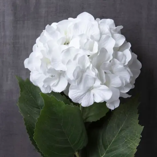 Hydrangea Stem by Ashland&reg; Classic Traditions&trade; {3}