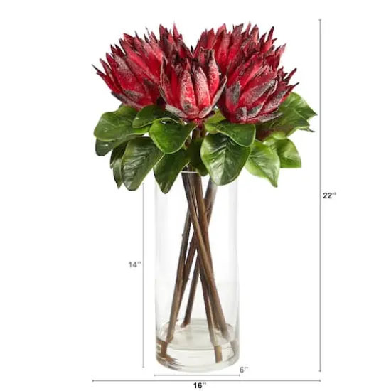 22" King Protea Floral Arrangement in Glass Vase {3}