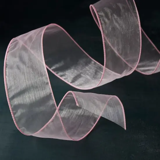 2.5" x 10yd. Sheer Wired Ribbon By Celebrate It&reg; {3}