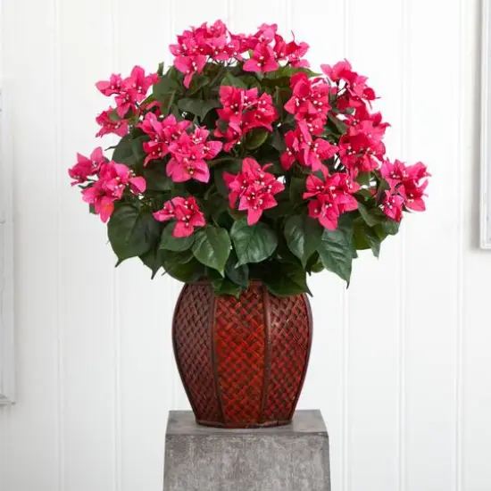 2ft. Pink Bougainvillea with Woven Vase {4}