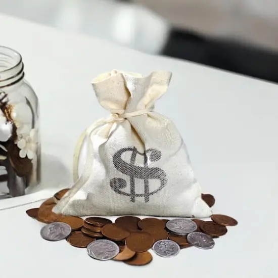 Banker's Bag Old Rare Coins {1}