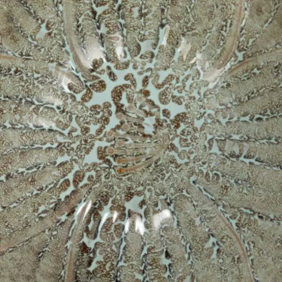 Hello Honey&reg; 4.75" Blue & Brown Stoneware Flower Bowl with Reactive Glaze {6}