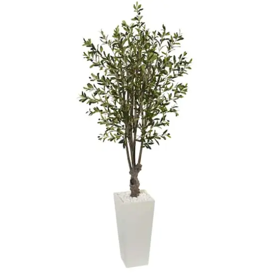 6ft. Olive Tree In White Tower Planter {1}