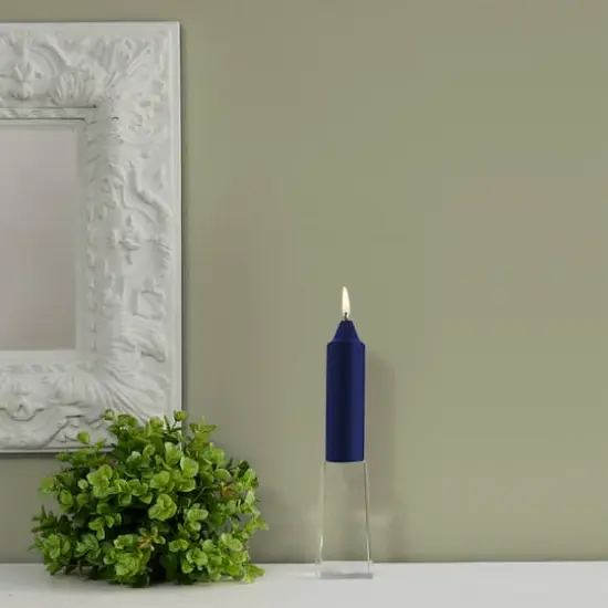 Root Candles 5" Unscented Smooth Collenette Taper Candles, 8ct. Abyss {5}