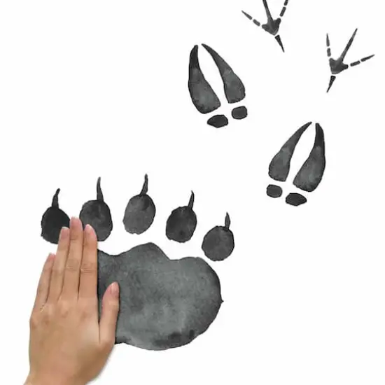 RoomMates Animal Tracks Peel & Stick Wall Decals {5}