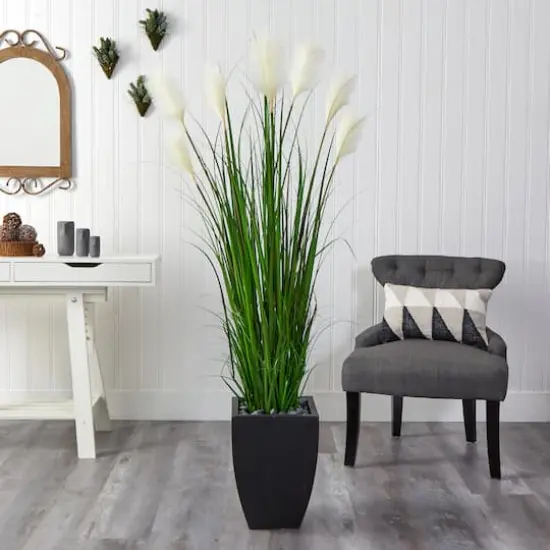 5ft. Wheat Plume Grass Plant in Black Planter {3}