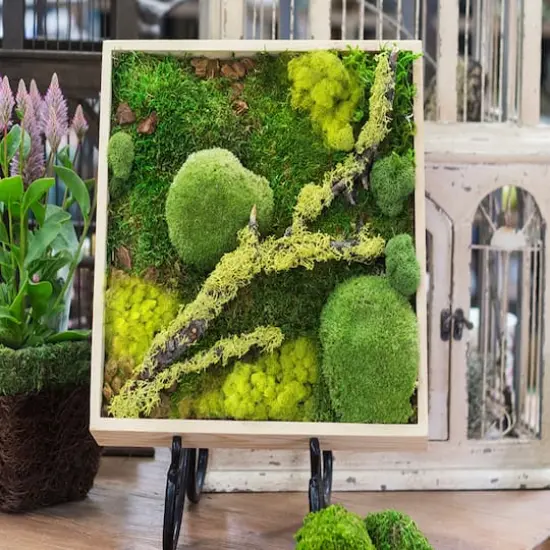 SuperMoss&reg; Instant Green&reg; Sticky All-Purpose Moss Mat {3}