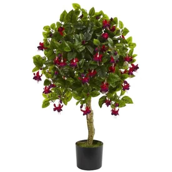3ft. Potted Fuchsia Tree  {1}