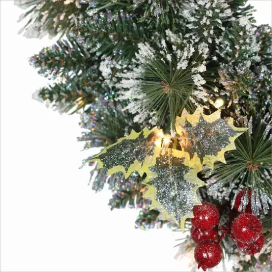 24" Pre-Lit Snowy Silverton Pine Wreath {5}