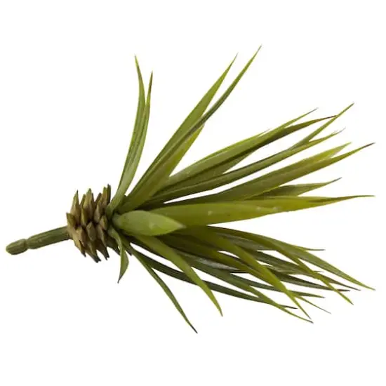 Spiky Agave Succulent Pick, 12ct.  {5}