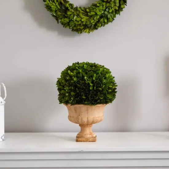 12in. Boxwood Topiary Ball in Decorative Urn {4}