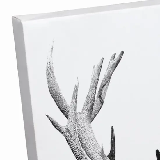 Deer Antlers 11" x 14" Canvas Wall Art {3}