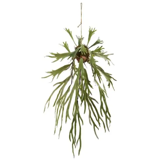 4ft. Staghorn Hanging Plant {1}