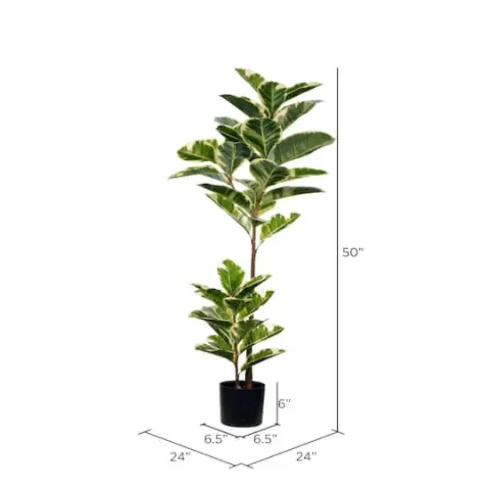4ft. Potted Artificial Dumb Cane Tree {5}