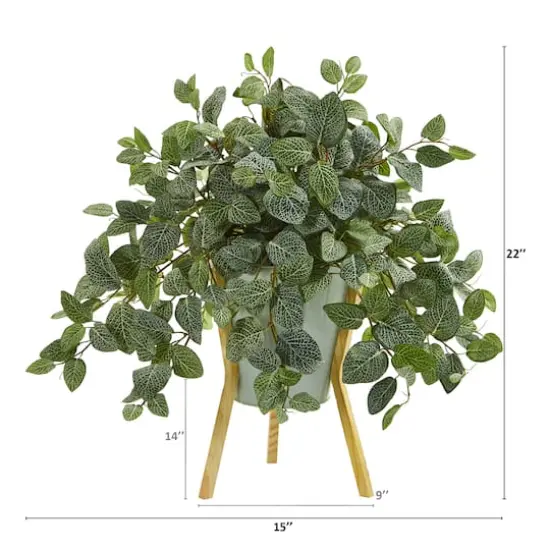 22'' Fittonia Plant in Green Planter with Wooden Legs {3}