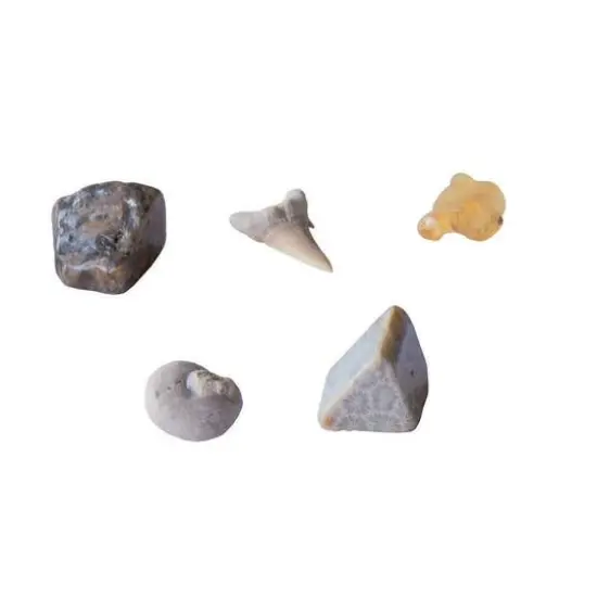 Thames & Kosmos I Dig It! Fossils Excavation Kit {3}