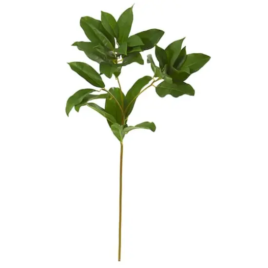 23" Laurel Leaf Artificial Spray (Set of 6) {1}