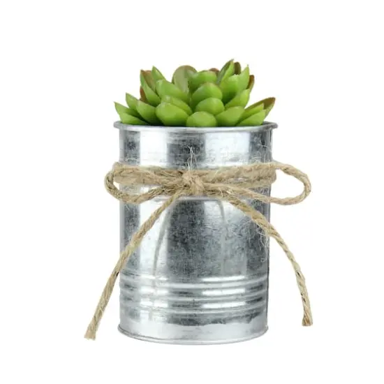7" Lime Green Mini Sprouting Rose Succulent in Tin Planter {3}