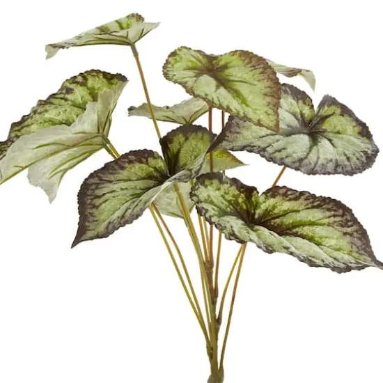 Green & Black Begonia Leaves Bush by Ashland&reg; {3}