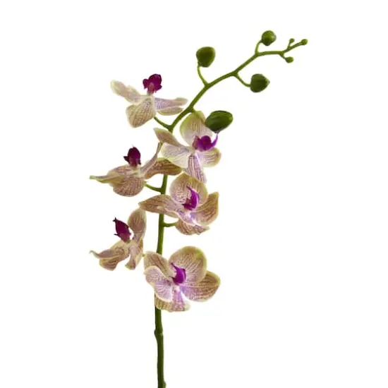 Moth Orchid Artificial Flower, 4ct. {3}
