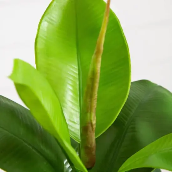 20in. Artificial Fiddle Leaf Fig Plant {5}