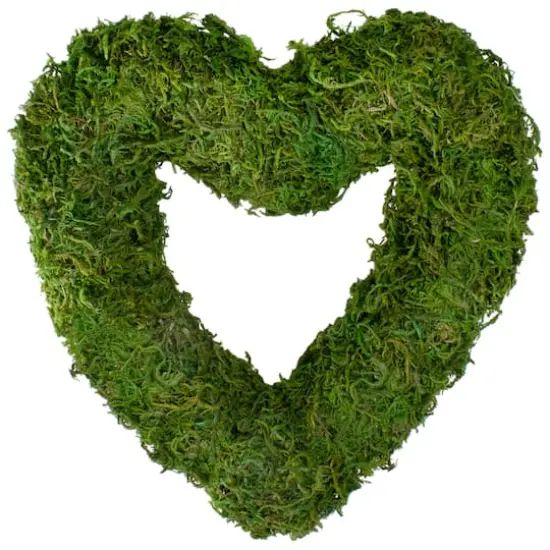 Reindeer Moss Heart Twig Artificial Wreath Green 13.5" {1}