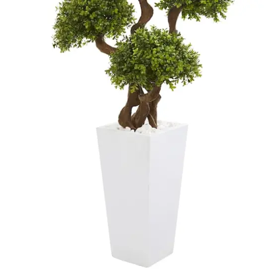 4.5ft. Four Ball Boxwood Topiary Tree in Tall White Planter {4}