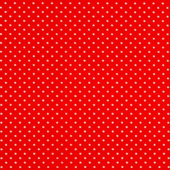 Cricut&reg; Everyday Iron-On&trade; Mesh Red {3}