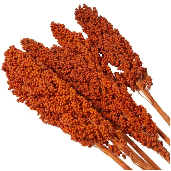 Dried Corn Maize Natural Foliage with Long Stems Orange {3}