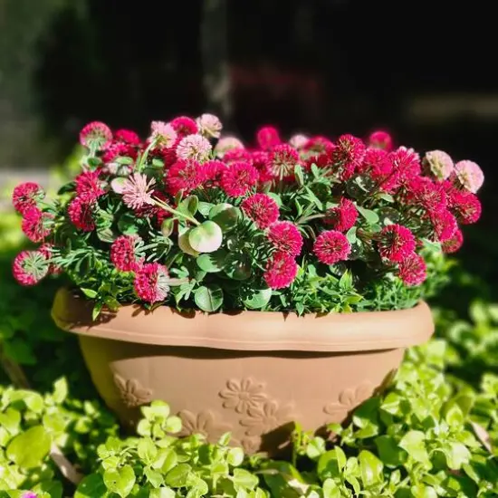 12" Faux Flowers in Hanging Basket, 2ct. Red/Pink {4}