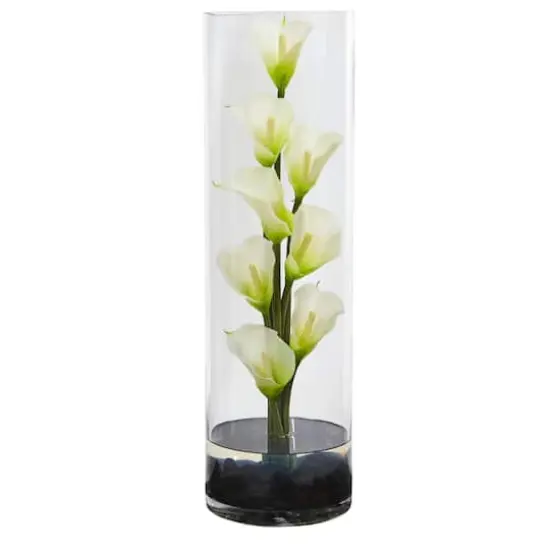 20" Calla Lily Arrangement in Cylinder Glass Vase Cream {1}