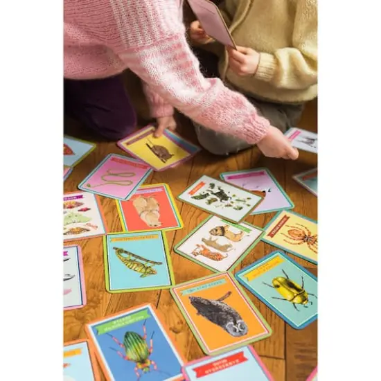 eeBoo Beautiful World Educational Flash Cards {5}