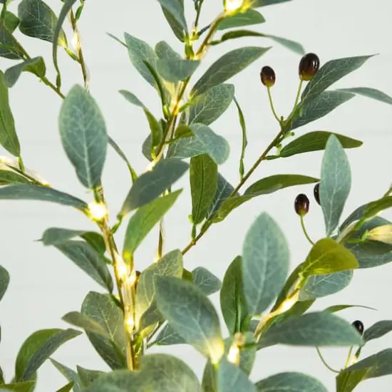 6ft. Pre-Lit Artificial Fruiting Olive Tree with Warm White LED Lights {5}