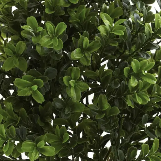 15" Sweet Grass Bush, 6ct. {3}