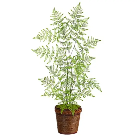3ft. Ruffle Fern Artificial Tree in Basket {1}