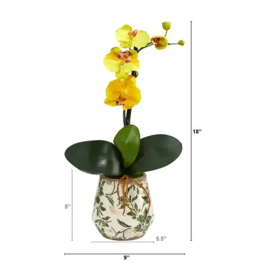 18" Mini Moth Orchid in Floral Vase {3}